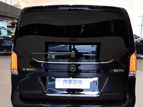 2024�� V 300 L ����������