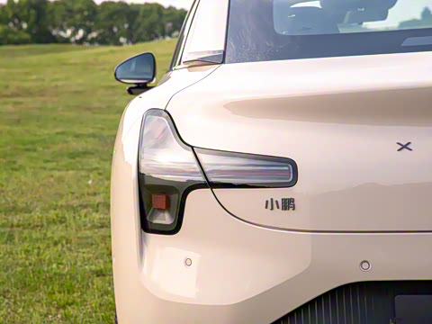 2025�� 502 ������ Max