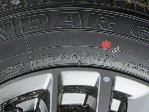 2025�� ���� 2.0L �������İ�