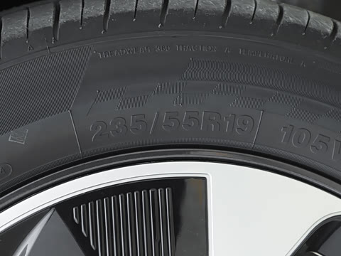 2025�� 205��������������