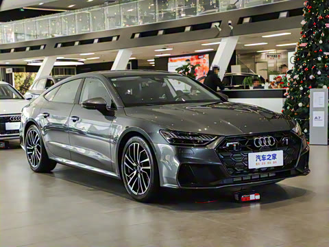 2025�� 45 TFSI ��ѡ��