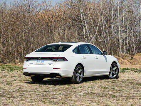 2025�� �˶�ϵ�� 260TURBO ����