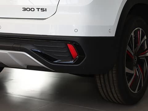 2024�� 300TSI ���������