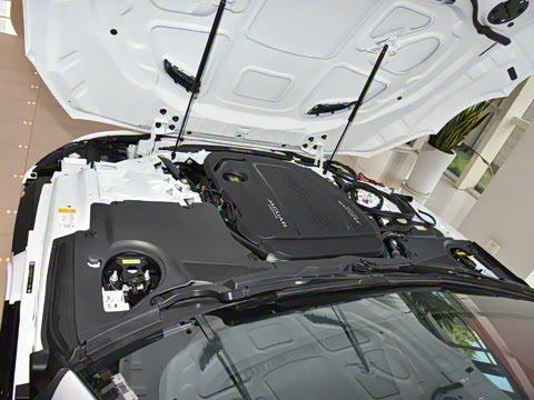 2024�� P300 75�����س����