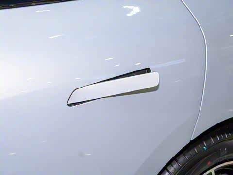 2025�� 650 ������