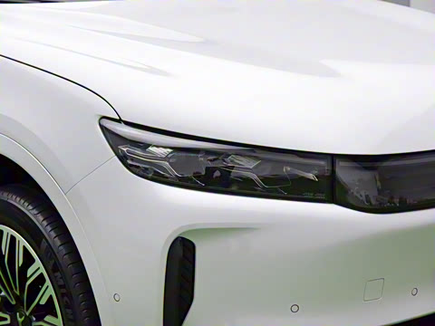 2025�� FREE+ ����Ǭ����