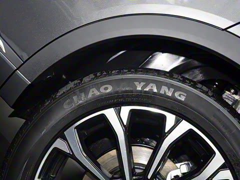 2025�� ����� 125 ��Խ��