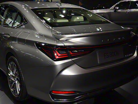 2025�� 300h ������