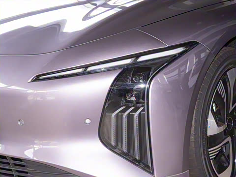 2024�� 555������