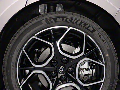 2025�� ���� ����� 230 �콢��