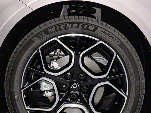 2025�� ���� ����� 230 �콢��