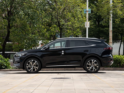 2025�� DM-i 115KM ������