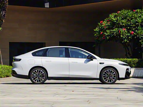 2025�� 650�����״��