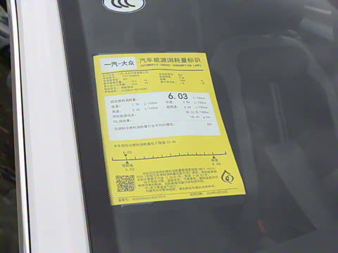 2025�� 300TSI DSG���������