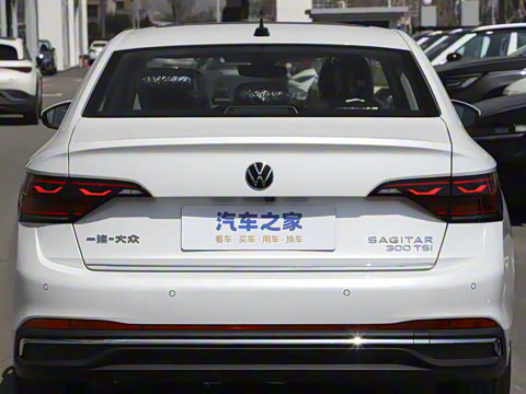 2025�� �Ŀ� 300TSI DSG׿Խ��