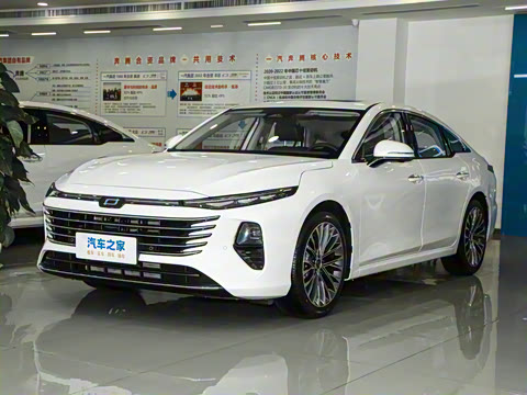 2024�� ���Ĵ� 2.0T �캽��