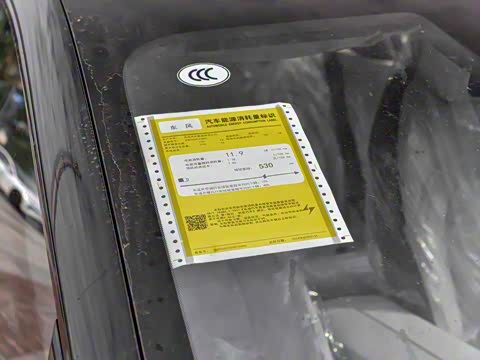 2024�� 530Pro��