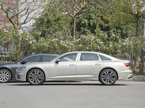 2025�� �Ŀ� 45 TFSI ��ѡ������