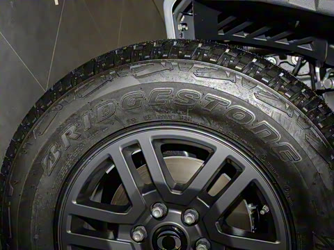 2025�� Trialmaster��