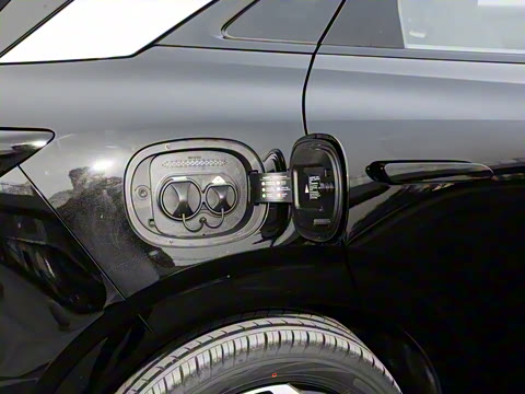 2025�� 505����Plus��