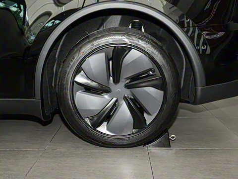 2025�� ����������