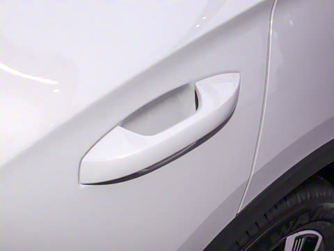 2025�� DM-i 115KM������