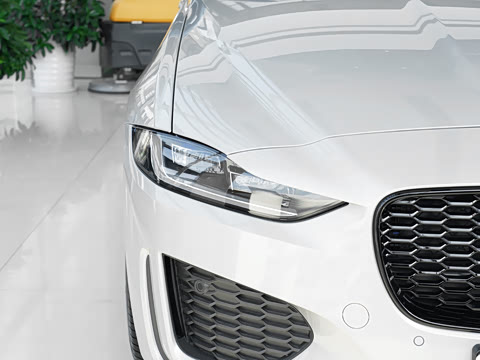 2024�� 2.0T 250PS R-DYNAMIC Sҫ���˶���