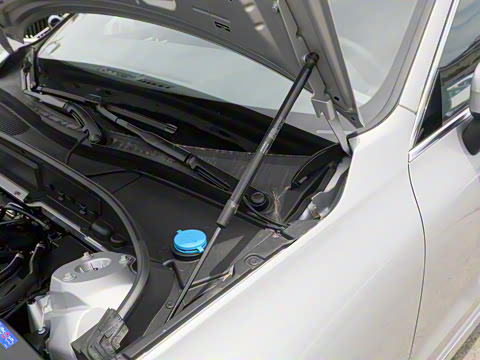 2025�� B5 �������ݺ�����