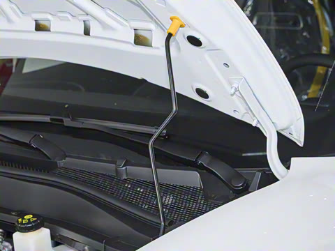 2025�� ľ���� 430km ������