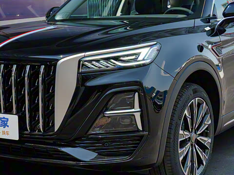 2025�� 2.0T ��������Pro��