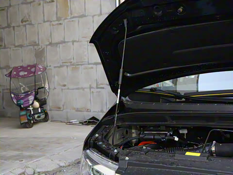 2025�� PLUS 2.0L ��Ӣ��