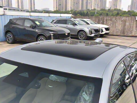 2025�� 28T �������ܰ�