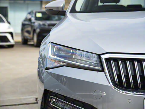 2025�� TSI330 DSG������