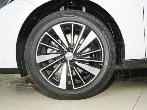 2025�� �ǻ������� 145KM ���ܰ�