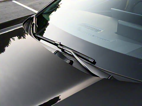 2025�� 550 PRO���а�