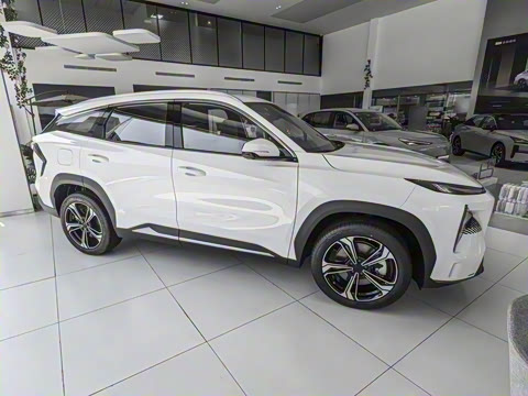 2024�� 1.5T 115km MAX  ���ڰ�