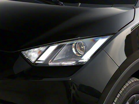 2025�� 305km ������