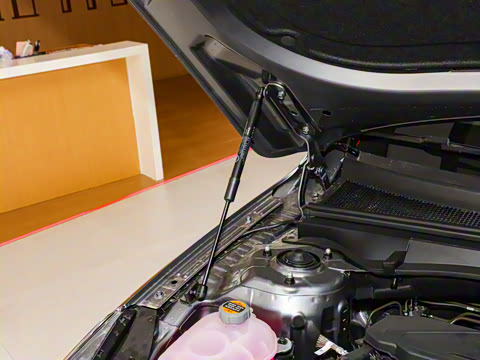 2025�� 1.5T ������