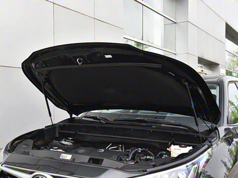 2024�� 2.5L���ܵ��˫��������Ӣ�� 5��