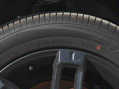 2025�� ���������� 650 ������