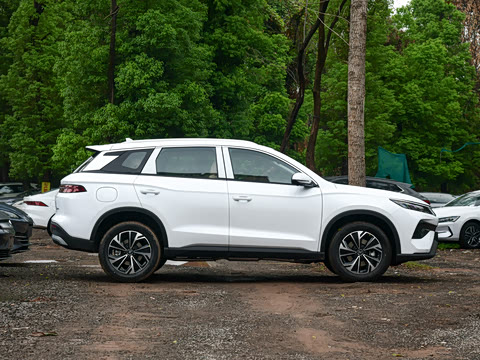 2025�� �ڶ��� DM-i 75KM��Խ��