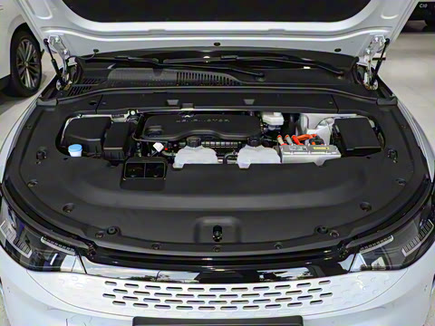 2024�� ���� 316������