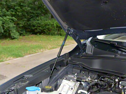 2026�� 1.5T DCT������