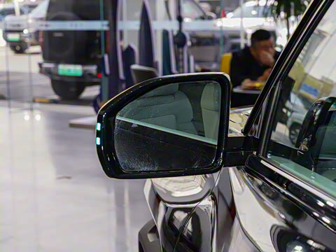 2025�� 501KM ����Max��