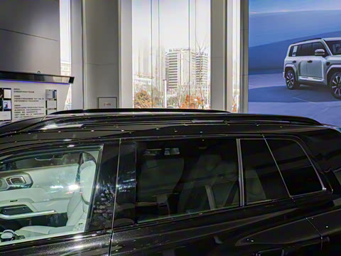 2025�� 501KM ����Max��