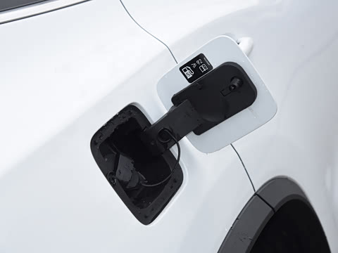 2025�� 300T ������ҫ��