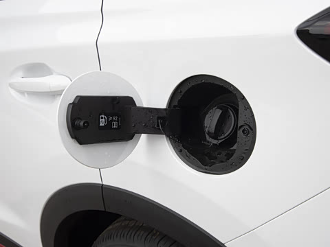 2025�� ׿Խ��  1.5T CVTȫ���