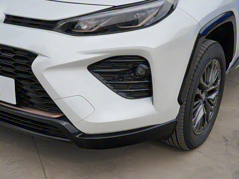 2024�� ˫�� 2.5L E-CVT��������PLUS��