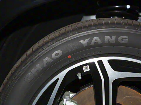 2024�� ���� 310 ������°�