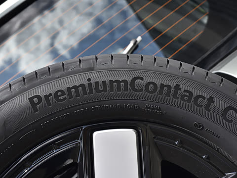 2024�� ����������